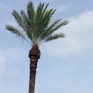 Meet your Posher, Marie